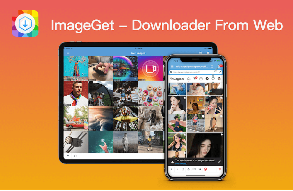 ImageGet Downloader form web