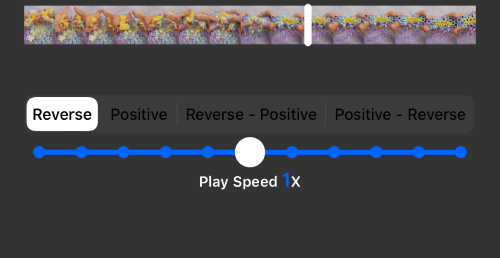 VideoEdit speed